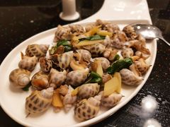 白灼香螺-金地利海鲜酒楼(清凉门店)