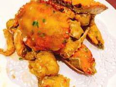 -沪碟·精菜坊(闵行店)