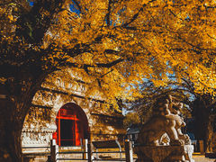-潭柘寺景区