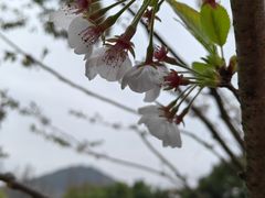 -杭州少年儿童公园