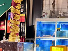 -金龙·打边炉(南京西路店)