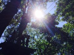 -清迈丛林飞跃 JungleFlight