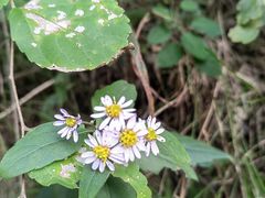 -焦作青龙峡风景名胜区