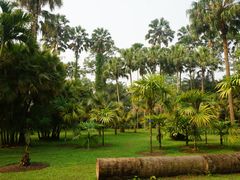 -中国科学院西双版纳热带植物园
