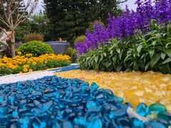 -深圳仙湖植物园