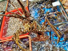 -船奇蒸汽海鲜·闽菜(八市海鲜总店)