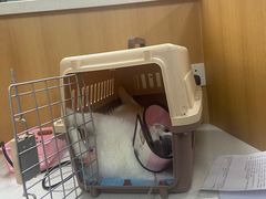 -联合动物医院(光谷诊疗中心)
