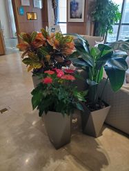 -北京米扬丽格医疗美容·联合丽格鼻整形中心