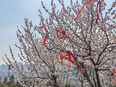-南翠屏公园