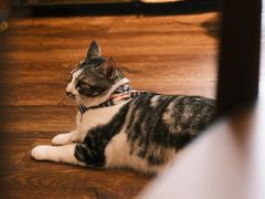 -echoes coffee回响咖啡(888街店)