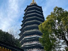 -红梅公园