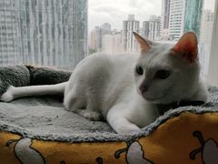 -Doors独立剧情密室(东门分店)