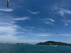 -映像威海·威海宴(威高广场店)
