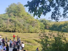 -大屏嶂森林公园
