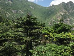 -牛背梁国家森林公园