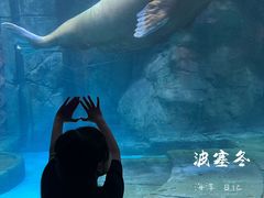 -哈尔滨波塞冬海底世界