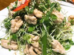 -华盛园卷子王农家菜水库鱼