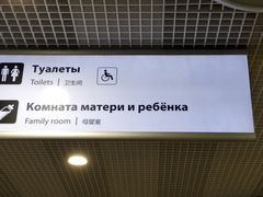 -谢列梅捷沃国际机场