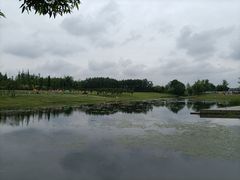 -两河城市森林公园