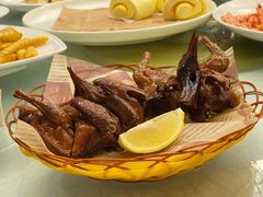 -泉龙渔村·粤式早茶·金牌烧鹅(中山三乡店)