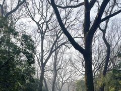 -灵谷景区