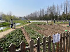 -前小桔亲子创意农场·草莓采摘·露营烧烤