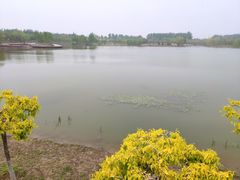 -东郊湿地公园
