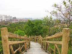 -聚龙山公园