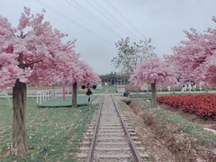 -盈香心动乐园
