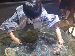 -邯郸海洋世界
