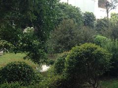 香山国际大酒店-苏州香山国际大酒店