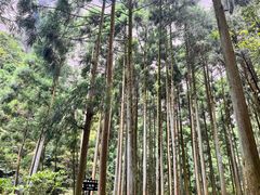 -雁荡山大龙湫景区