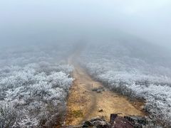 -湖州龙王山景区