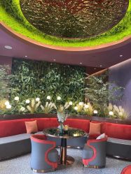 -花隐·美芙炫海菲秀皮肤管理中心