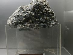 -甘肃地质博物馆