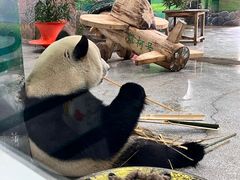 -临沂动植物园