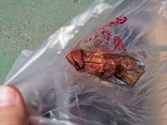 -净香园熟肉(北坦总店)