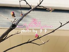 -锡师附小学(学前街校区)