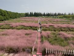 -嘉北郊野公园