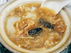 招牌海参鱼肚煲仔-添發碗仔翅美食