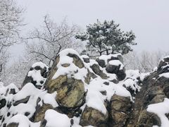 -香山公园