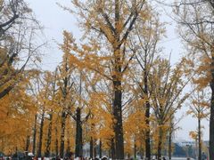 -百林公园-两江幸福广场