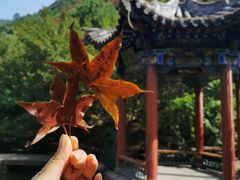 -太山飞越山西360极限飞球