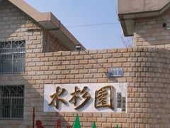 -水杉园