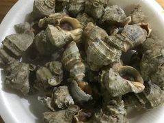 白灼苦螺-有间冰室(侨港风情街店)