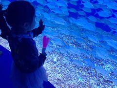 -哈尔滨波塞冬海底世界