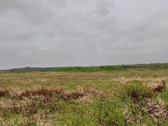 -盐城丹顶鹤湿地生态旅游区