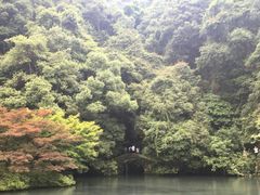 -龙井村