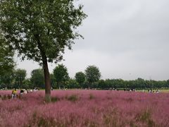 -汉长安城未央宫国家考古遗址公园