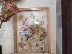 -知物癖(牛王庙店)